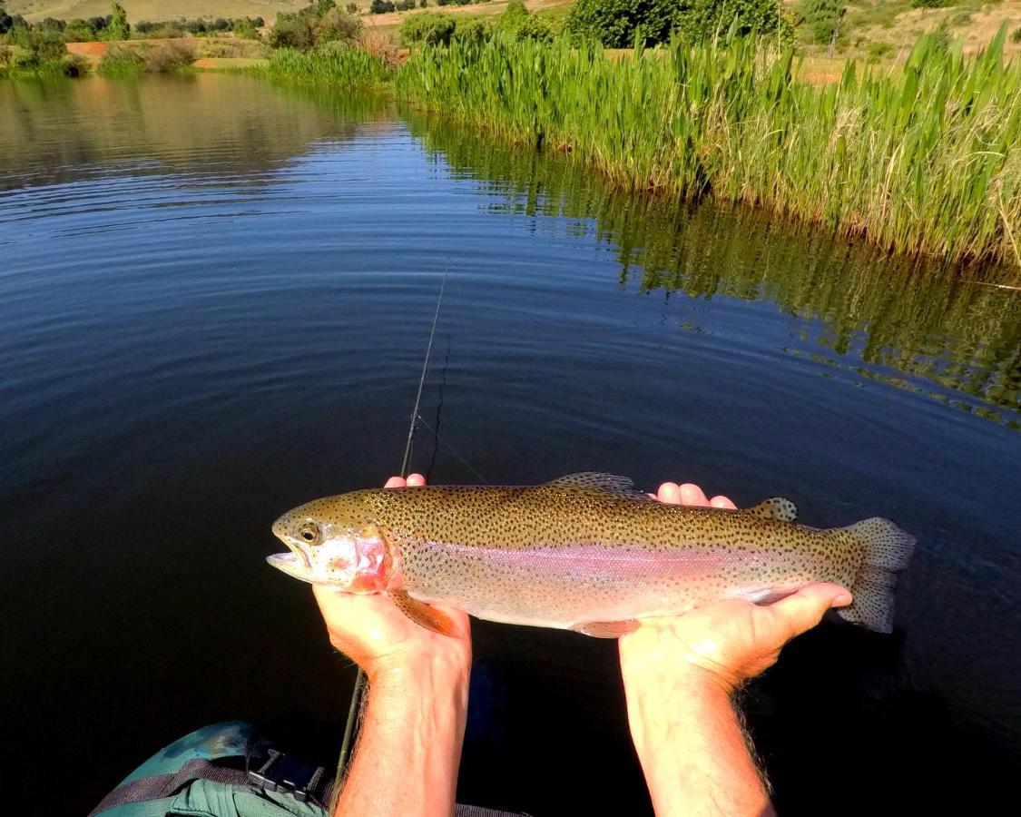Walkersons Trout And Nature Haven Dullstroom Exterior photo