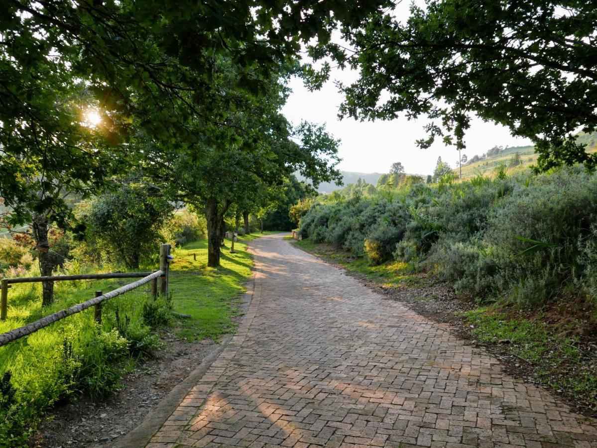 Walkersons Trout And Nature Haven Dullstroom Exterior photo