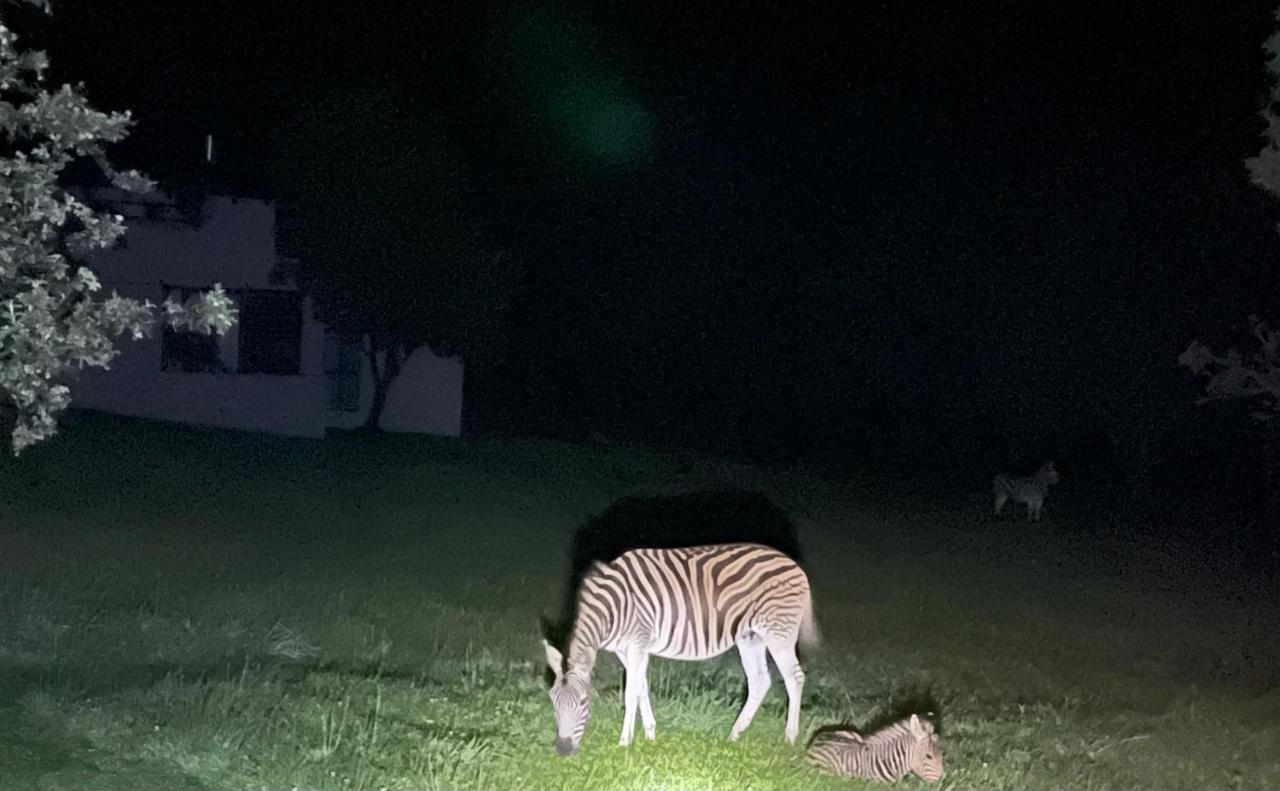 Walkersons Trout And Nature Haven Dullstroom Exterior photo